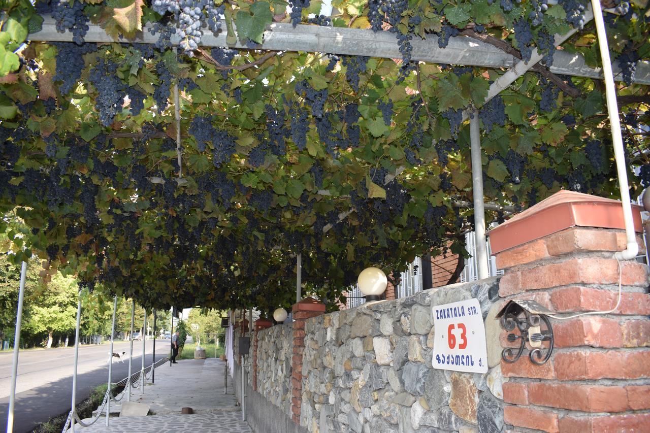 Family Hotel Lago & Wine Cellar Lagodekhi Exterior photo